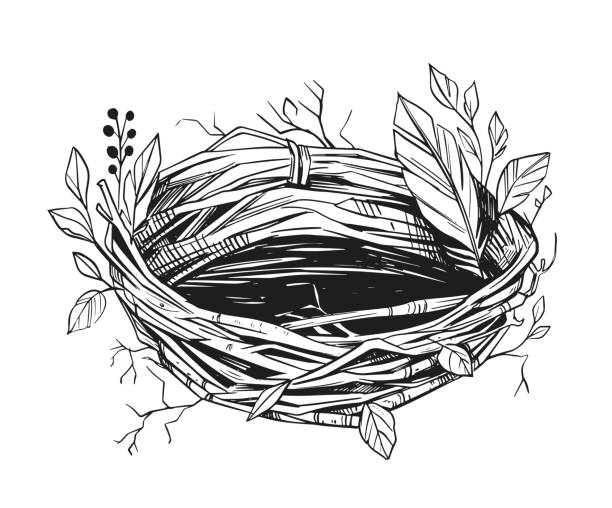 Why NestJs could the next one for you!